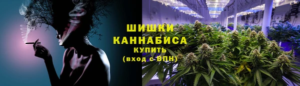 ГАЛЛЮЦИНОГЕННЫЕ ГРИБЫ Алексин