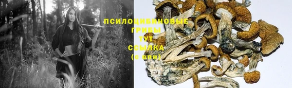 Альфа ПВП Алзамай